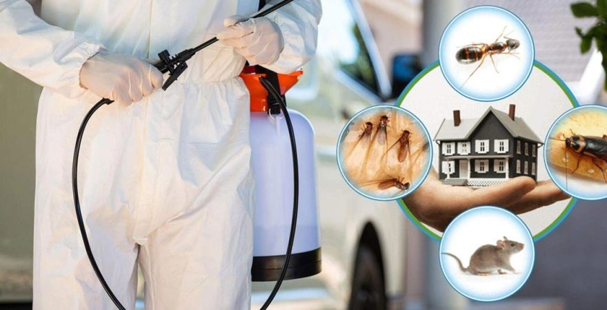 Evka 3 Böcek İlaçlama