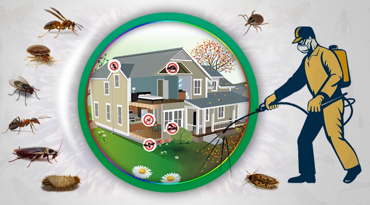 Evka 3 Böcek İlaçlama