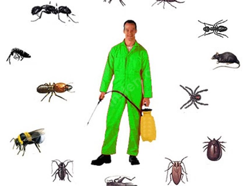 Evka 3 Böcek İlaçlama